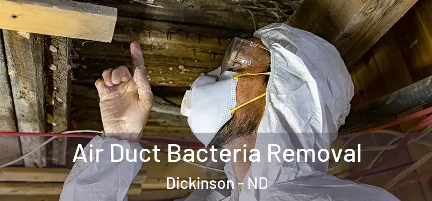  Air Duct Bacteria Removal Dickinson - ND