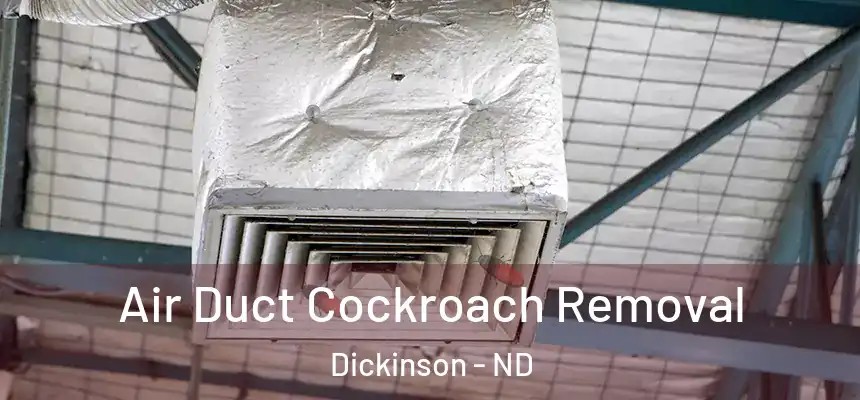  Air Duct Cockroach Removal Dickinson - ND