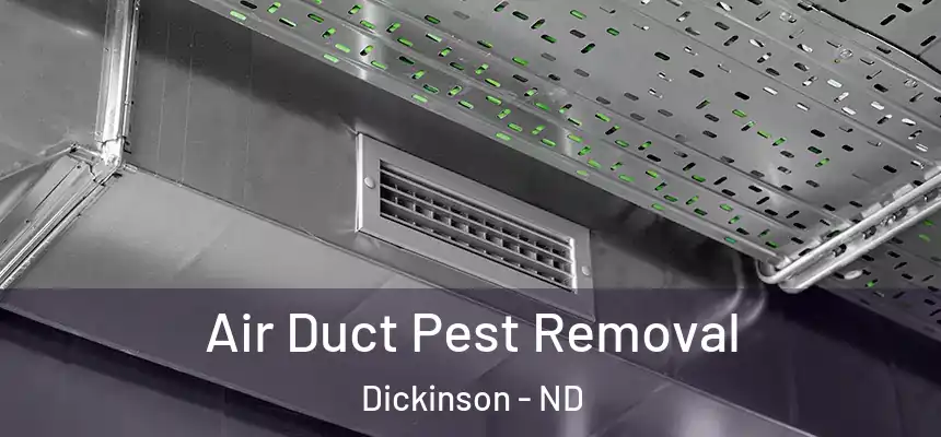  Air Duct Pest Removal Dickinson - ND