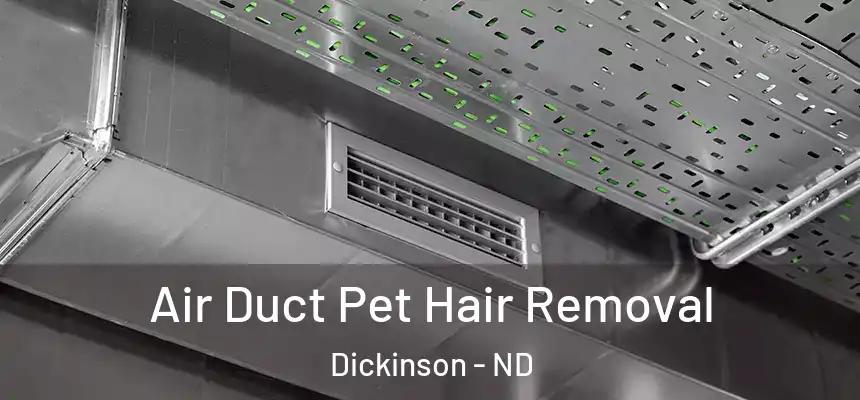  Air Duct Pet Hair Removal Dickinson - ND