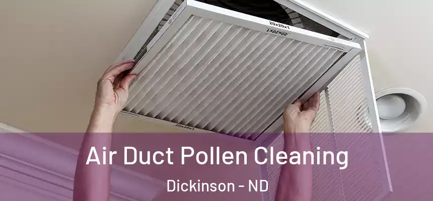  Air Duct Pollen Cleaning Dickinson - ND
