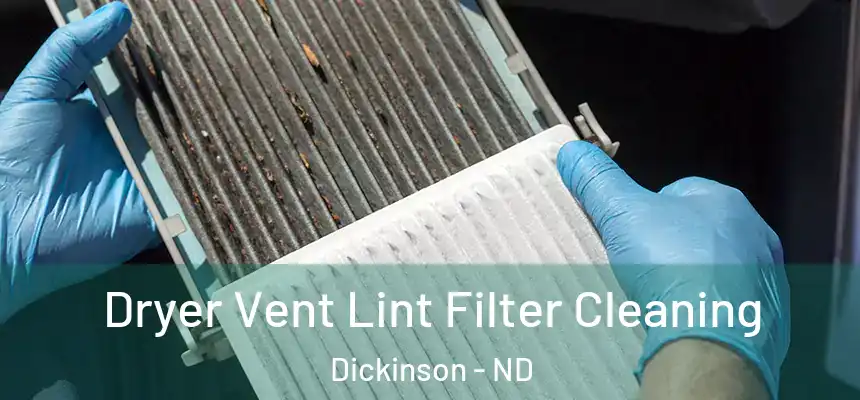  Dryer Vent Lint Filter Cleaning Dickinson - ND