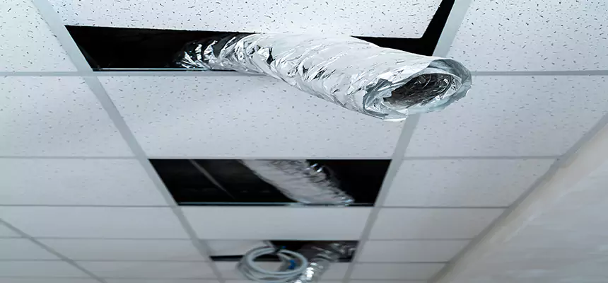 Our Air Duct Pet Hair Removal Services in Dickinson, ND