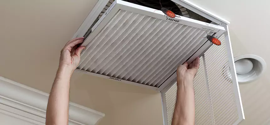 Our Insect Removal from Air Ducts Services in Dickinson, ND