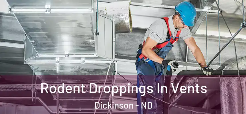  Rodent Droppings In Vents Dickinson - ND