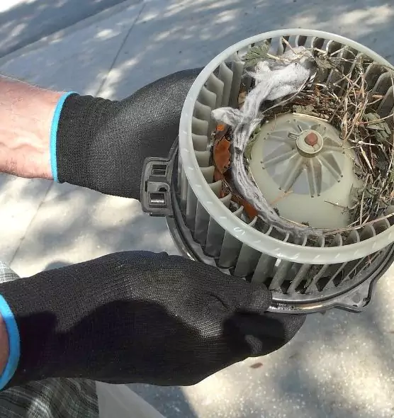 About Air Duct Mice Removal in Dickinson, ND