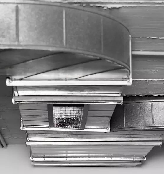 Professional Air Duct Pest Removal in Dickinson, ND