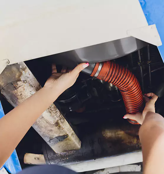 About Air Duct Virus Disinfection in Dickinson, ND